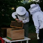 Le Moulin De La Retardiere 3*