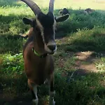 Bed & Breakfast Le Moulin De La Retardiere