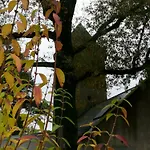 Le Moulin De La Retardiere 3*