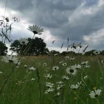 Le Moulin De La Retardiere 3*