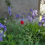 Bed & Breakfast Le Moulin De La Retardiere 3*