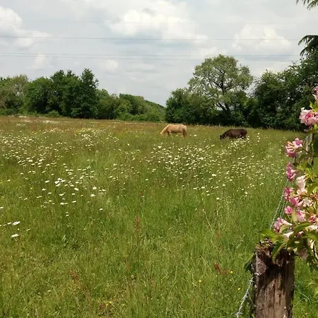 Frühstückspension Le Moulin De La Retardiere Orvault