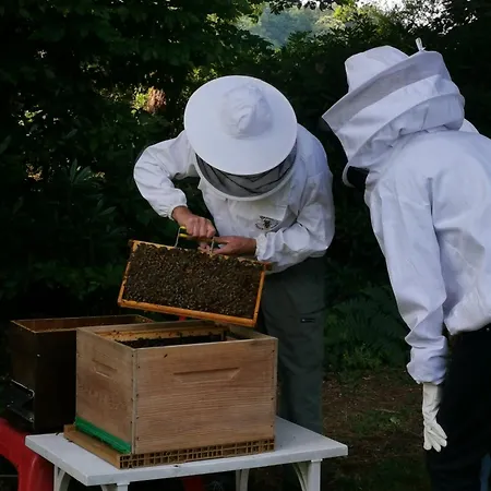 Le Moulin De La Retardiere 3*