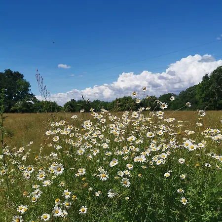 Bed & Breakfast Le Moulin De La Retardiere 3*