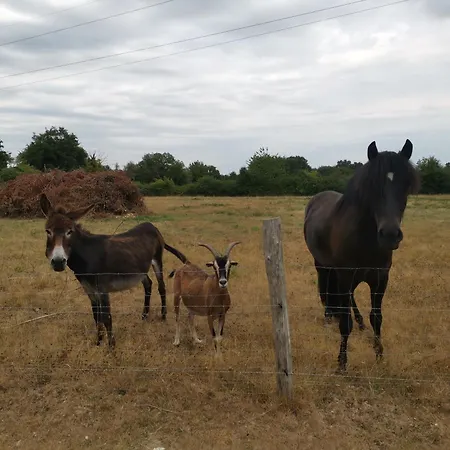 Le Moulin De La Retardiere Bed & Breakfast 3*