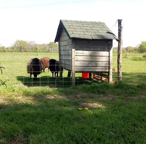 Couette-café Le Moulin De La Retardière Orvault