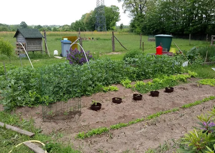 Le Moulin De La Retardière Couette-café 3*