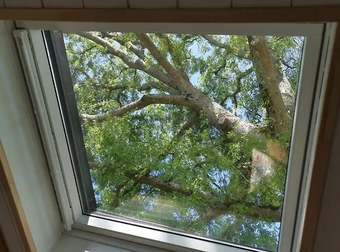 Le Moulin De La Retardière Orvault