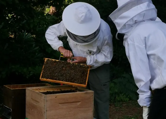 Le Moulin De La Retardiere 3*