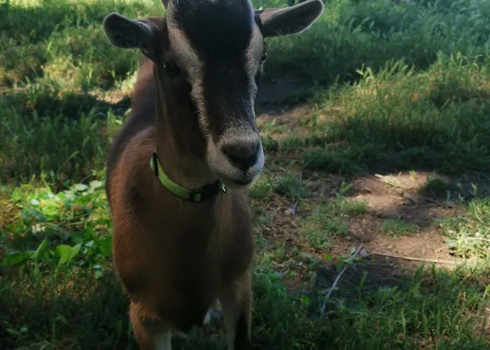 Bed & Breakfast Le Moulin De La Retardiere