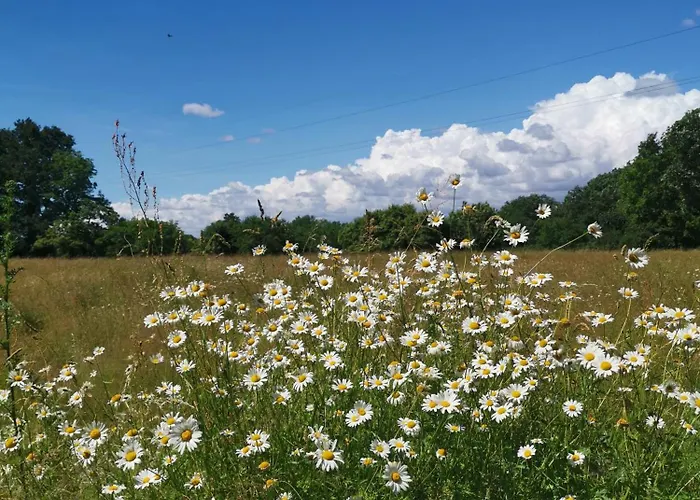Bed & Breakfast Le Moulin De La Retardiere 3*