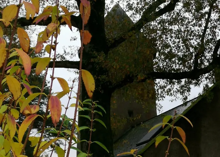 Le Moulin De La Retardière 3*
