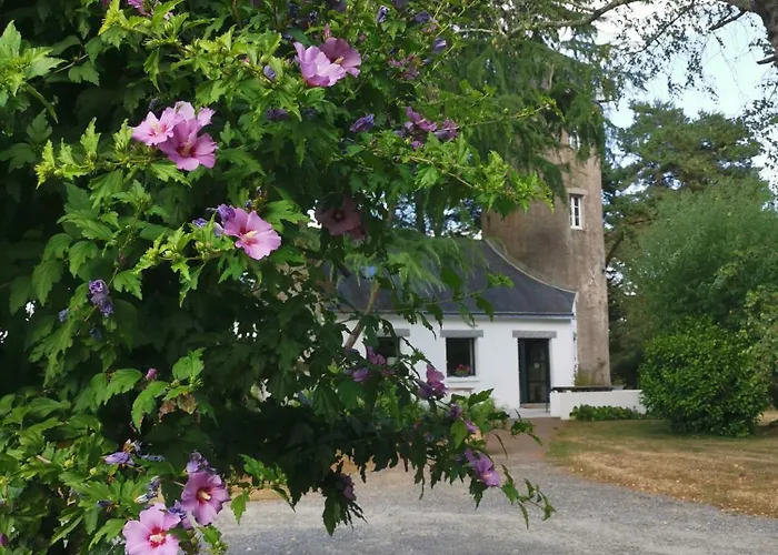 Couette-café Le Moulin De La Retardière
