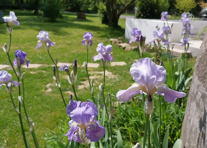 Le Moulin De La Retardière