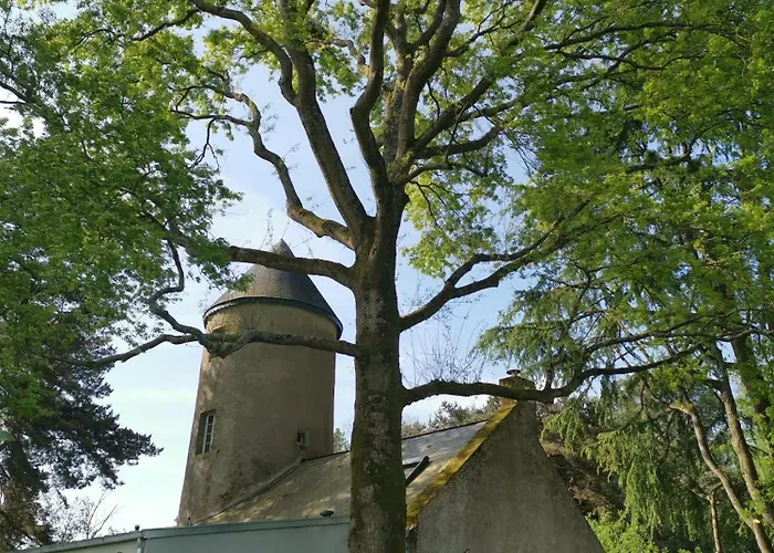 Couette-café Le Moulin De La Retardière