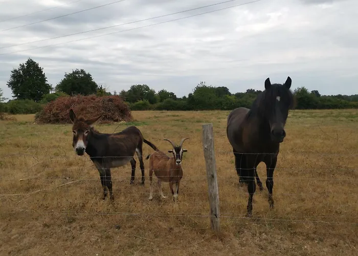 Le Moulin De La Retardière Couette-café 3*