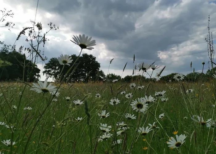 Le Moulin De La Retardière 3*