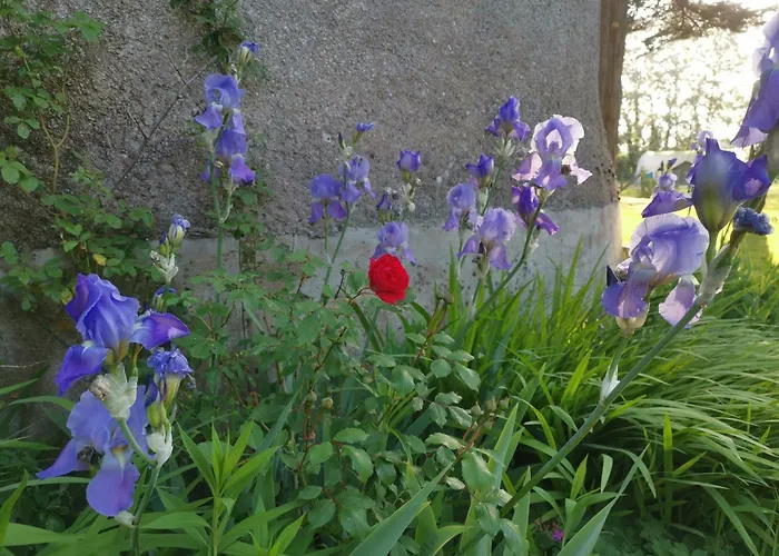 Bed & Breakfast Le Moulin De La Retardiere 3*